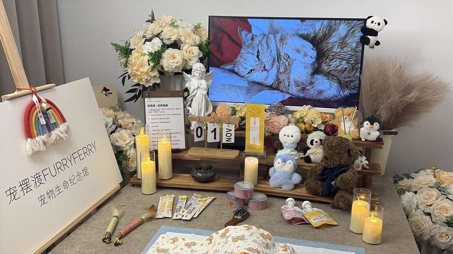 郑州宠物单独火化